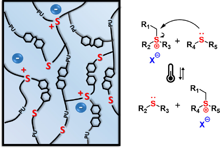 Trialkylsulfonium-Based Reprocessable Polyurethane Thermosets